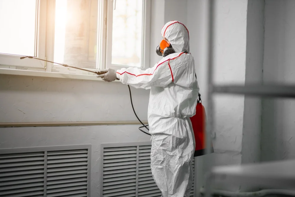 Professional mold remediation services in Ellabell, GA